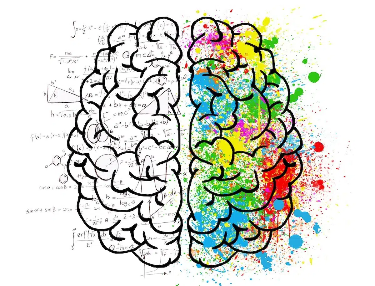 exercice cerveau